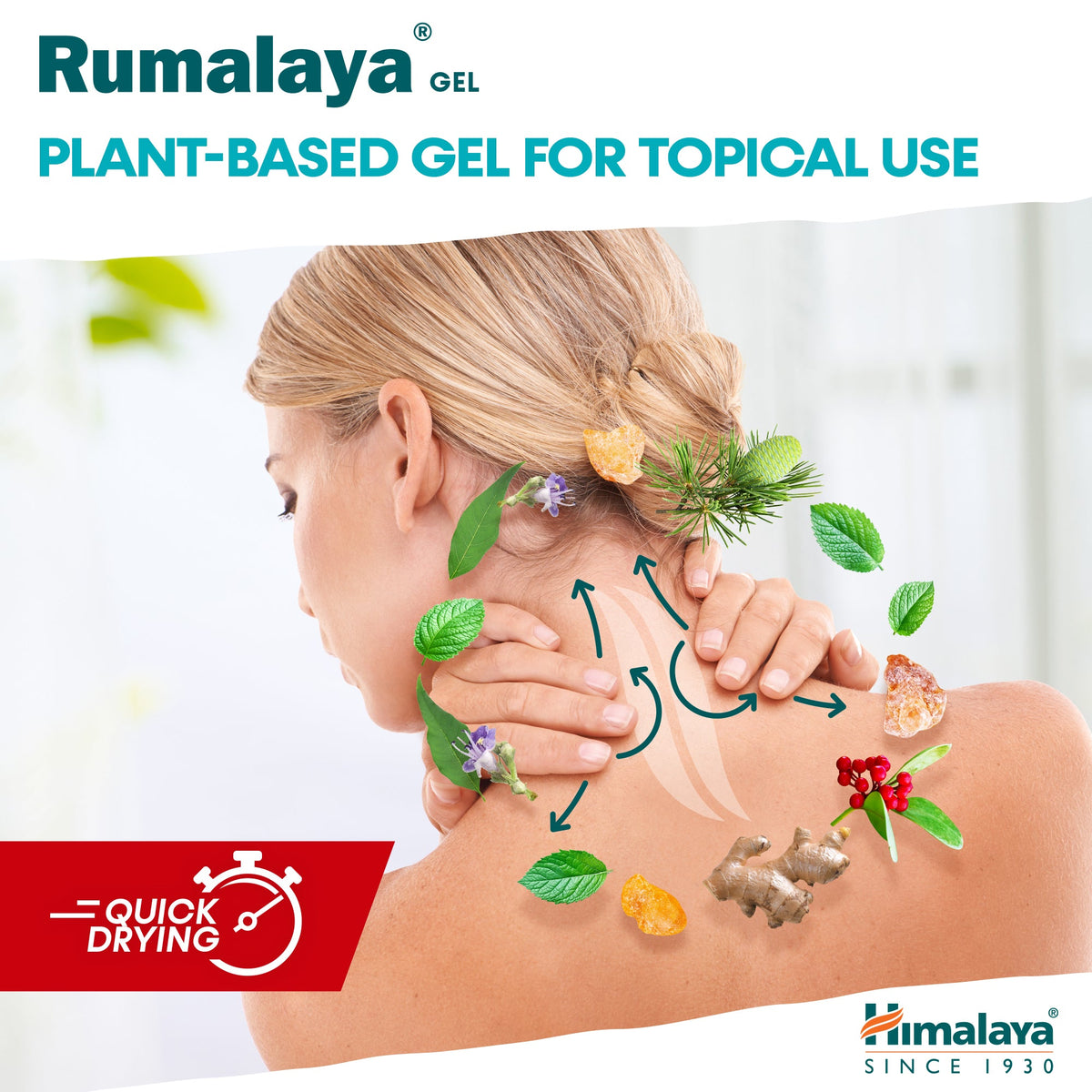Himalaya Rumalaya gel - 50g-3