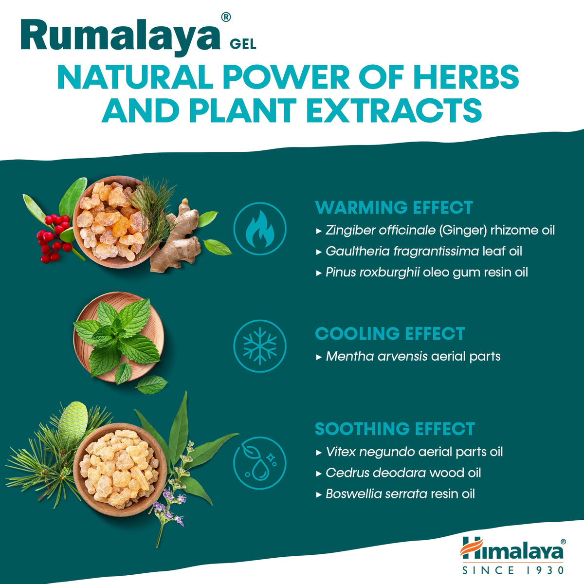 Himalaya Rumalaya gel - 50g-4