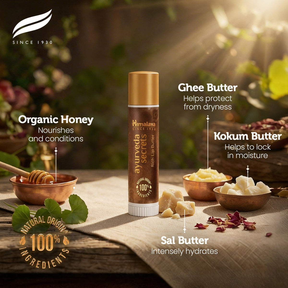 Himalaya AYURVEDA SECRETS RICH LIP BUTTER-4