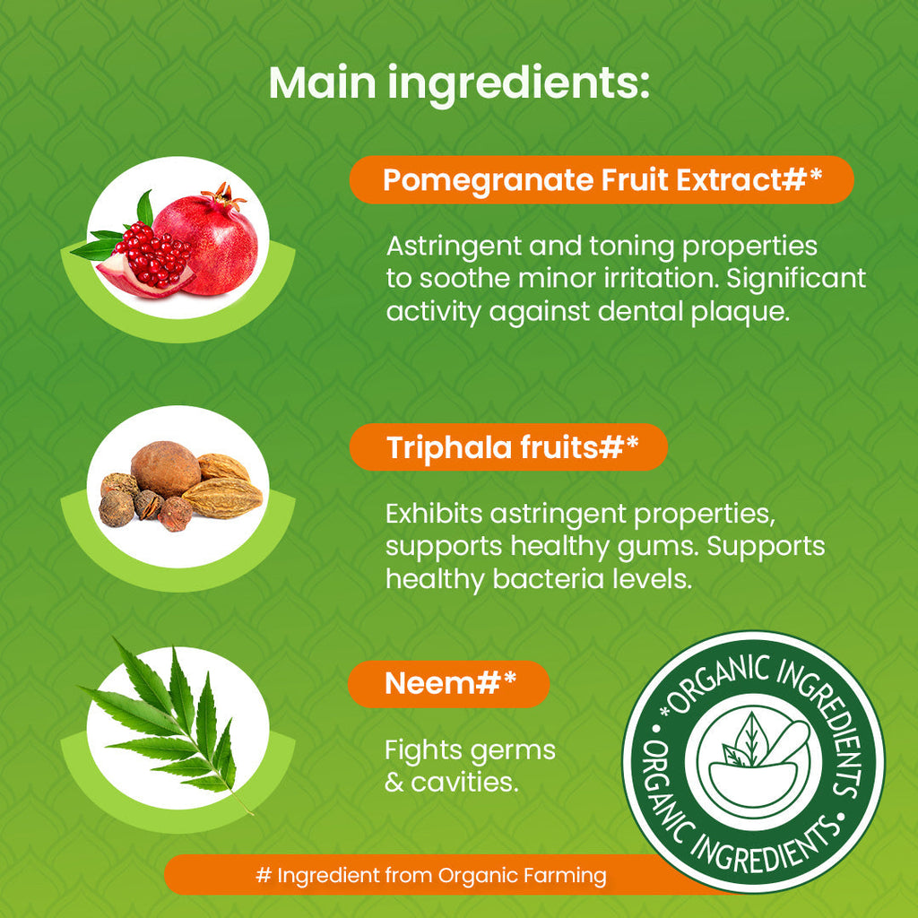 Himalaya Botanique Neem & Pomegranate Toothpaste - 150 g-3