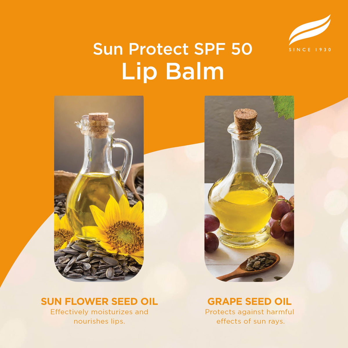 Himalaya Sun Protect Lip balm (SPF 50), 4.5 g-3
