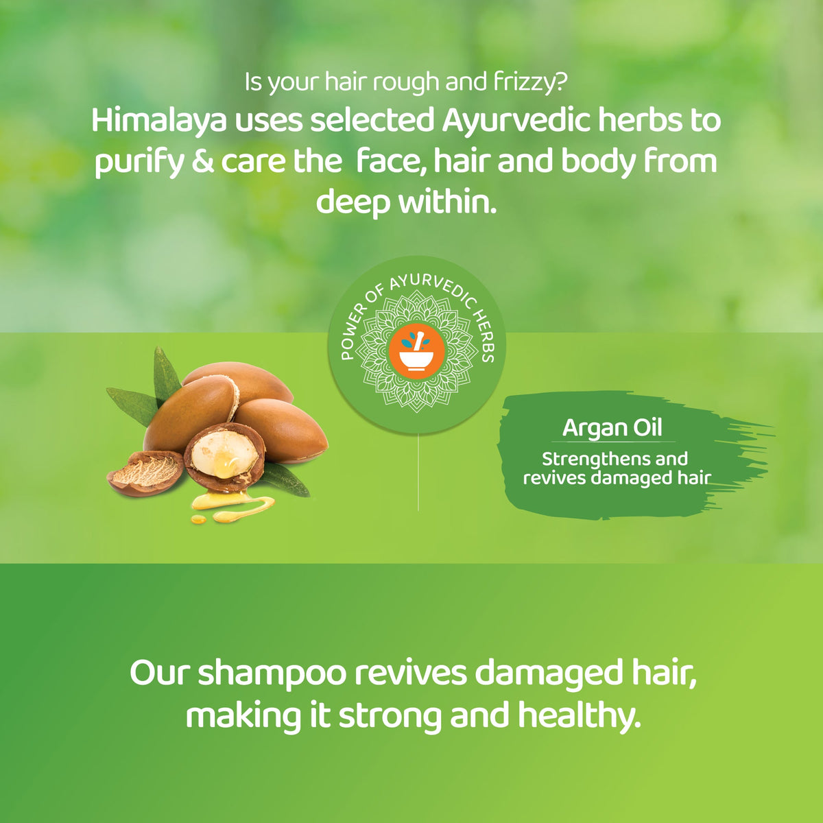 Himalaya Protein Shampoo - Repair & Regenerate - 400ml-2