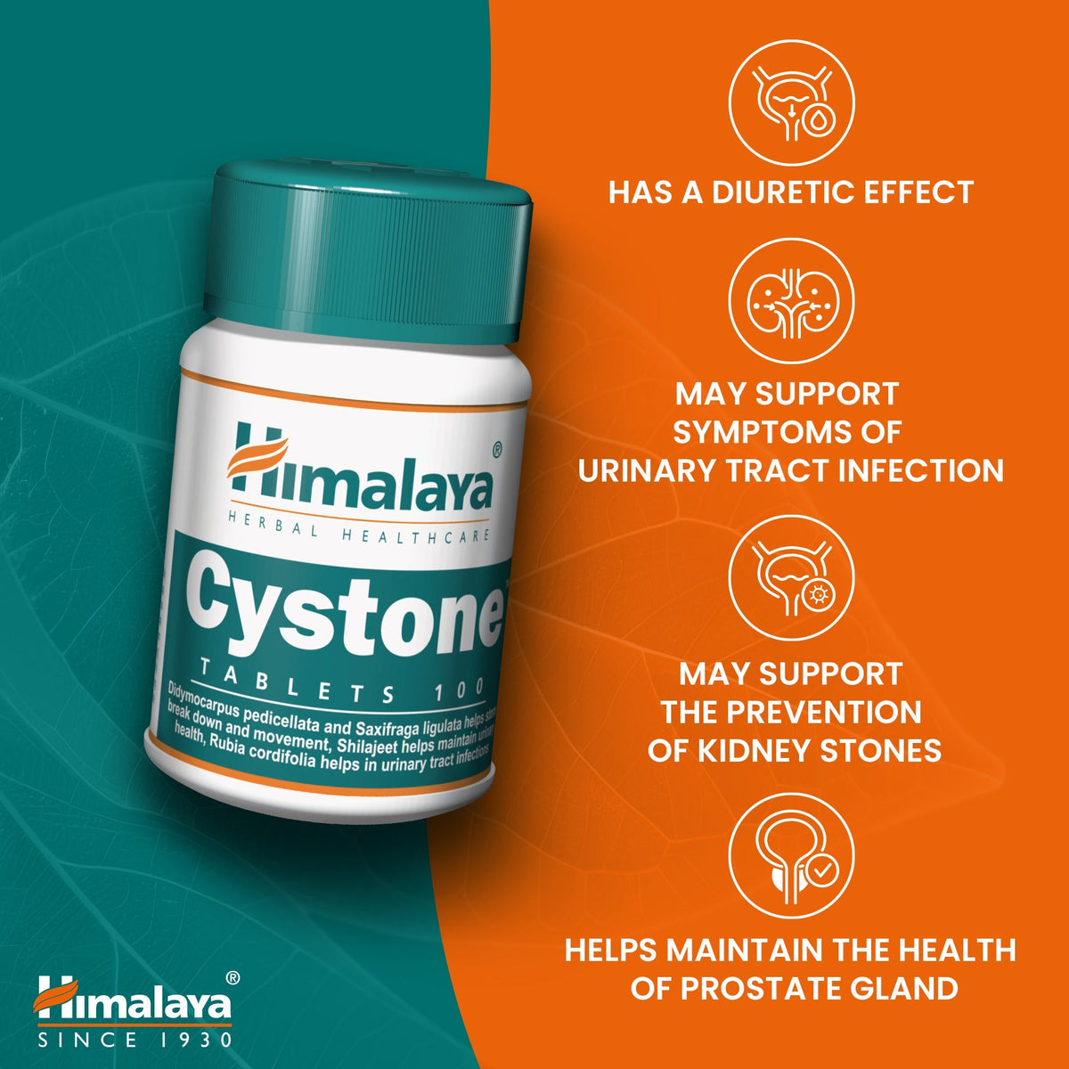 Himalaya Cystone - 100 Tablets-4