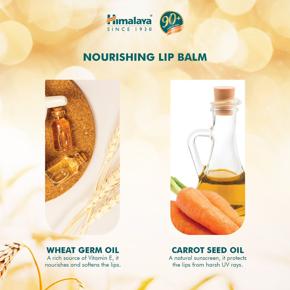 Himalaya Nourishing Lip Balm - 10g-3